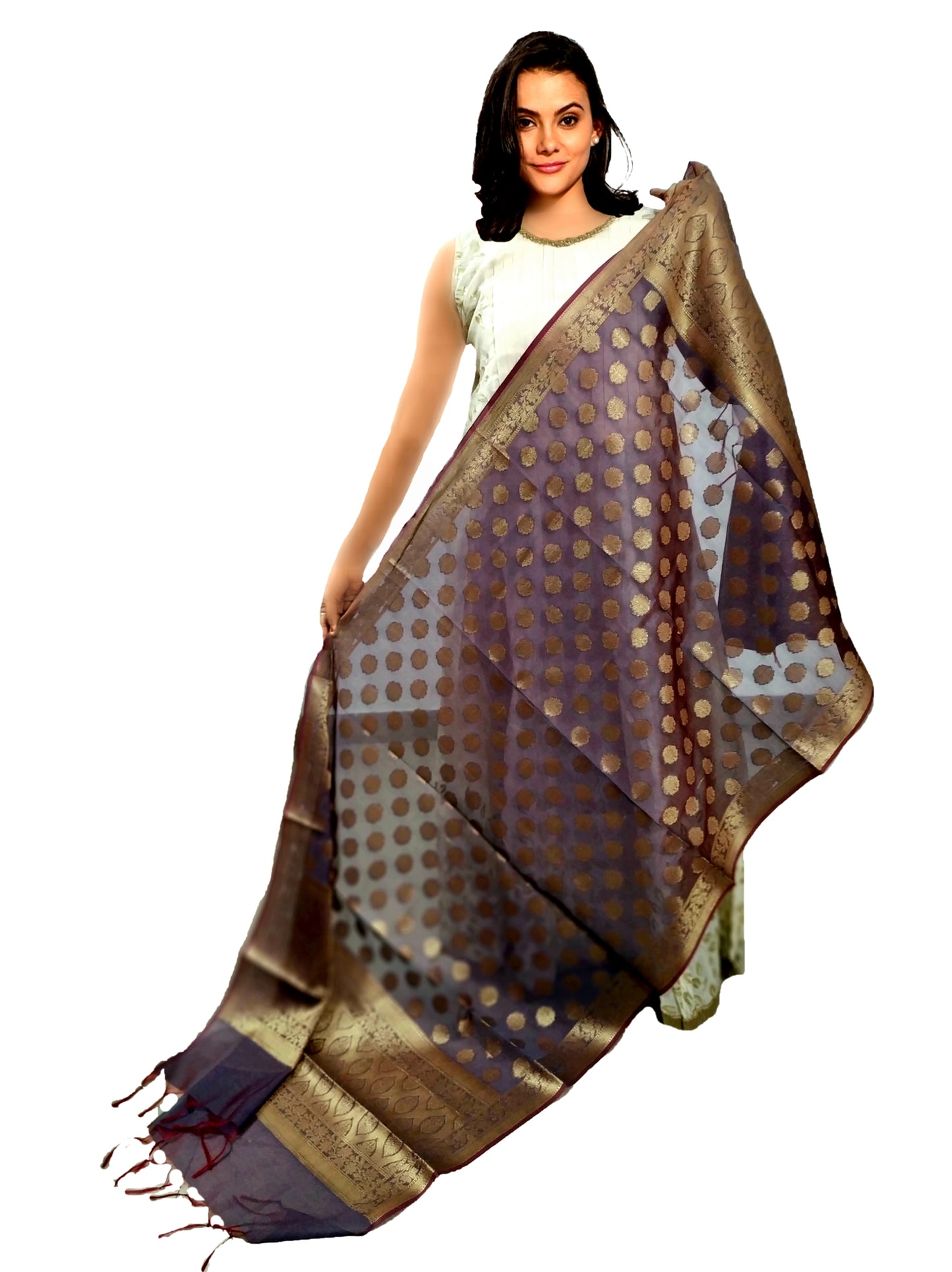 Gray Silk Banarsi Dupatta