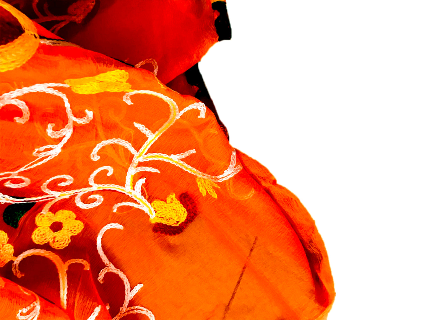 Runjhun Chiffon Embroidered Dupatta (Orange)