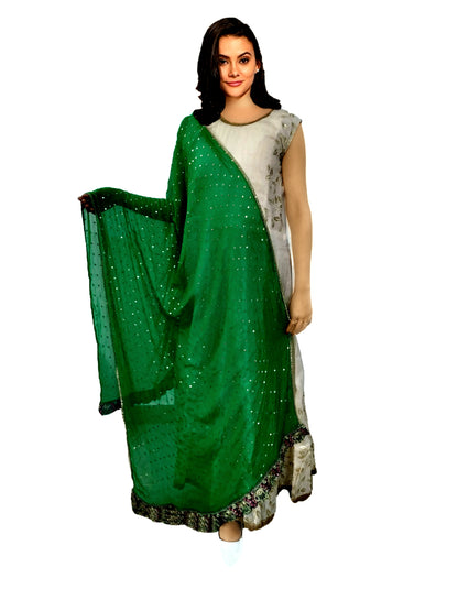 Runjhun Designer Chiffon Green and Golden Dupatta