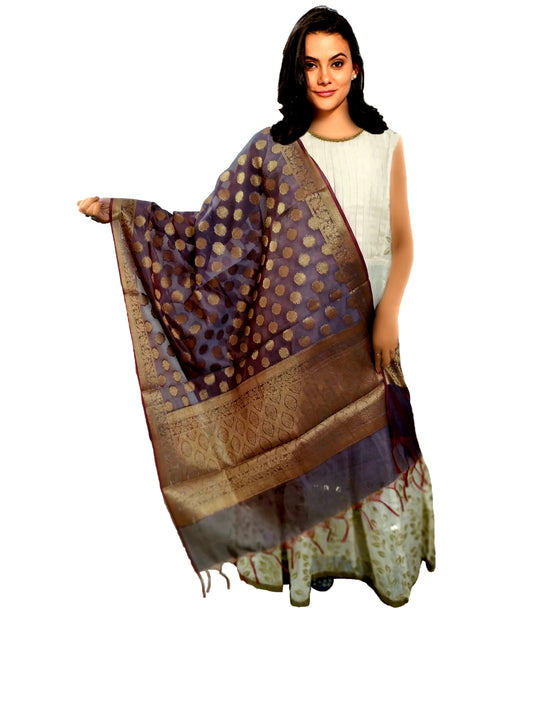 Gray Silk Banarsi Dupatta