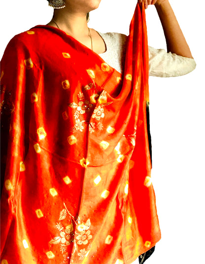 Runjhun Women's Soft Viscose Shawls