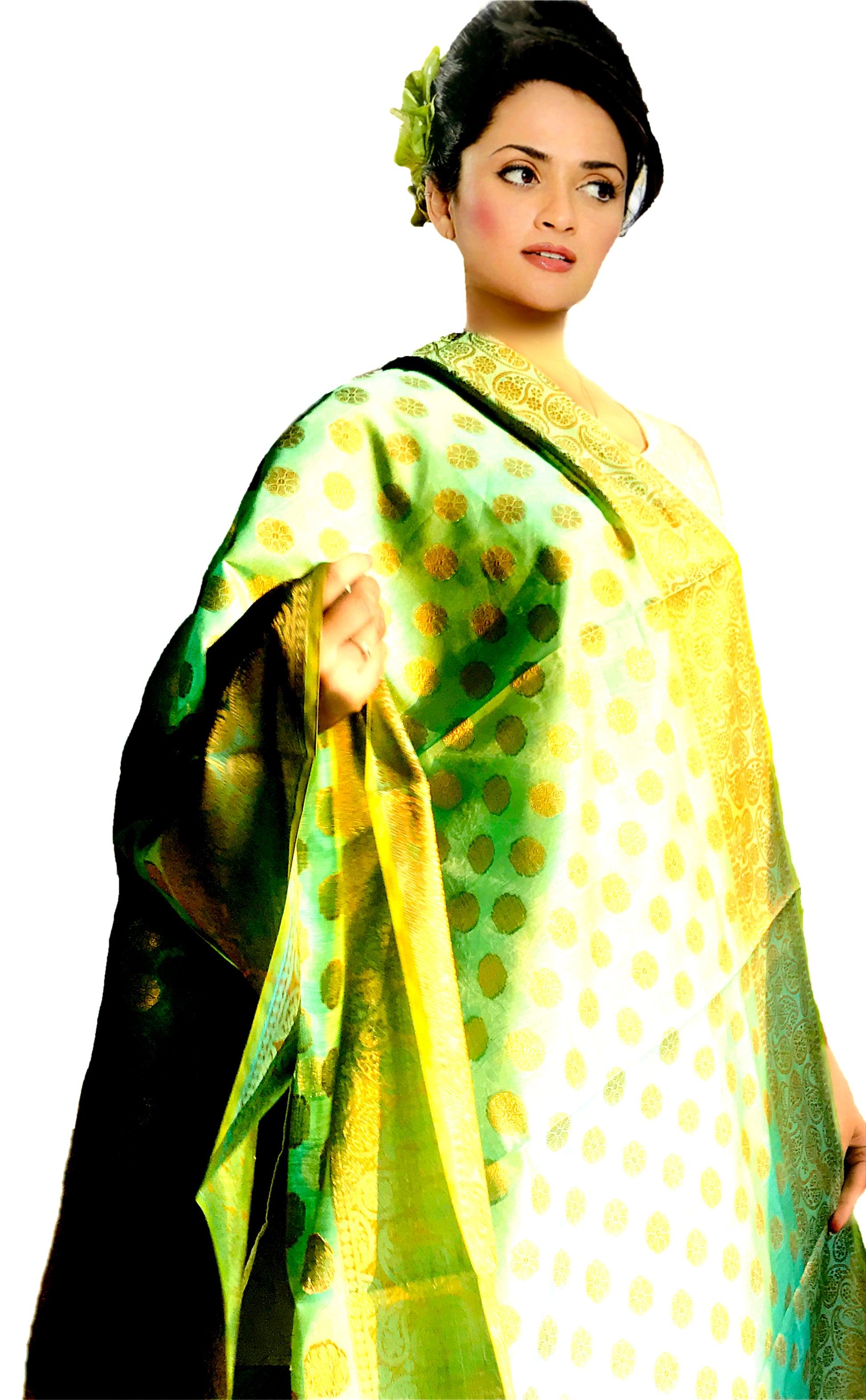 Urban Wardrobe's  Heavily Embroidered Banarsi Dupatta