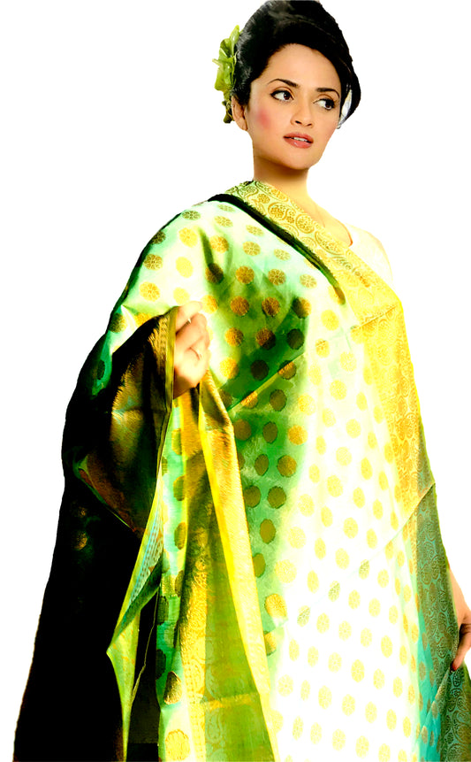 Urban Wardrobe's  Heavily Embroidered Banarsi Dupatta