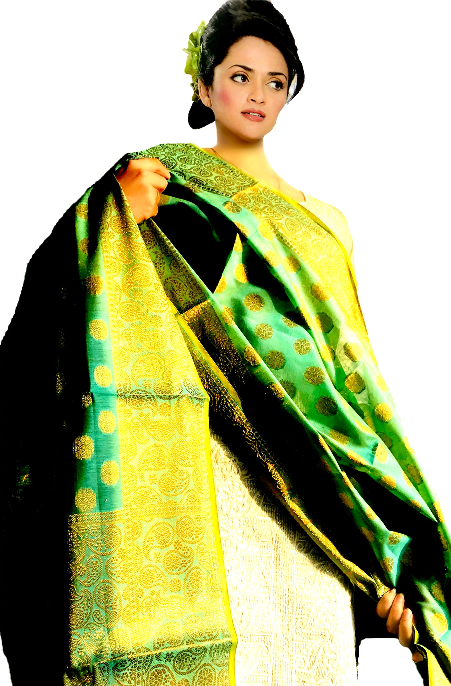 Urban Wardrobe's  Heavily Embroidered Banarsi Dupatta