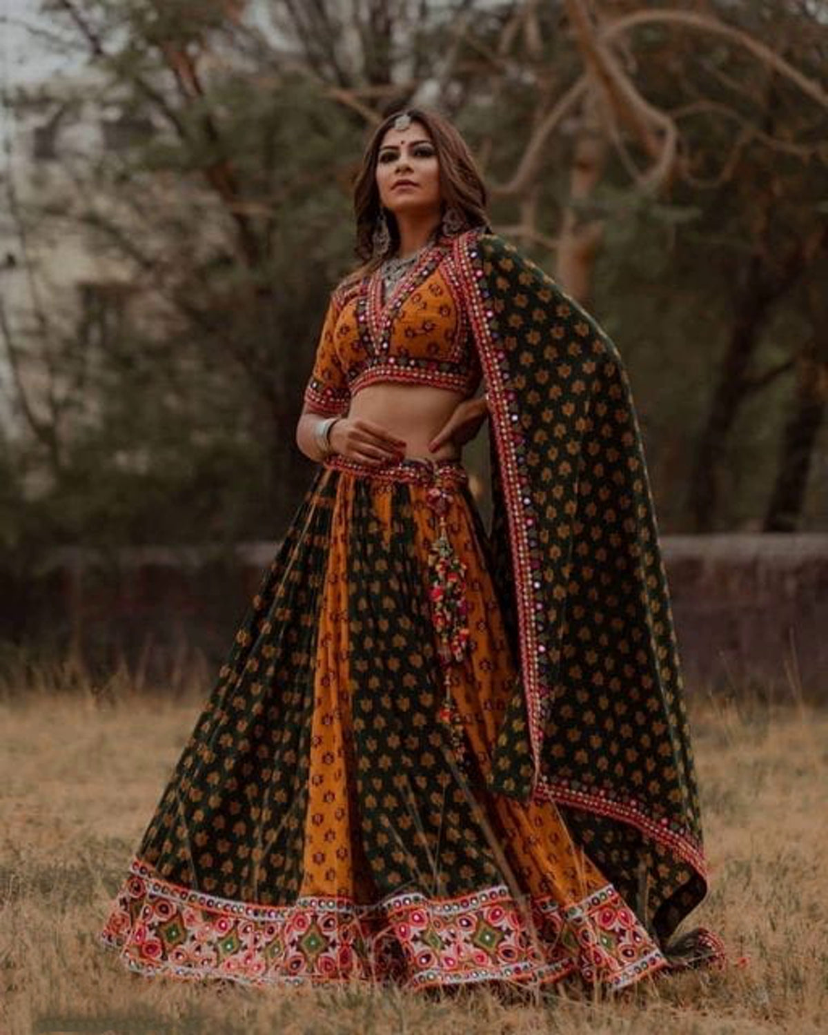 New Designer Navratri Chanaya Choli