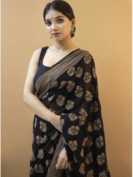 Black Banarsi Silk Saree