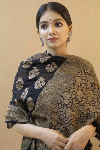 Black Banarsi Silk Saree